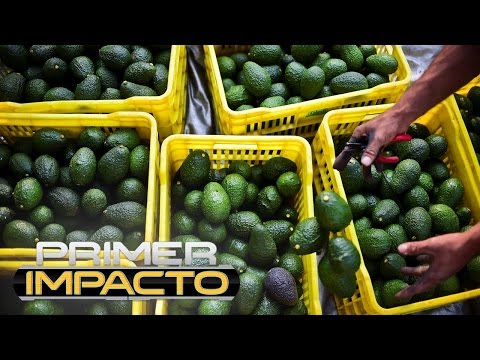 ¿Está en peligro el guacamole para la Super Bowl de este año?