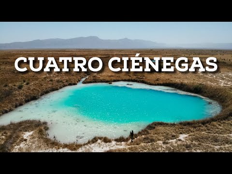 El oasis del desierto mexicano - Cuatro Ciénegas