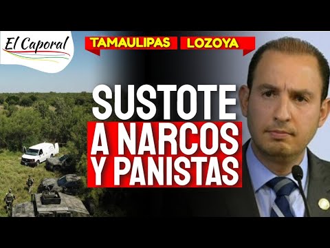 🔴EJÉRCITO Sacude Al NARCO Y VIDEO Sacude A PANISTAS