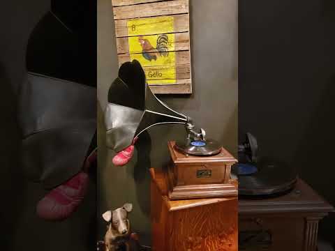 Zona Maco Arte Contemporáneo 2025