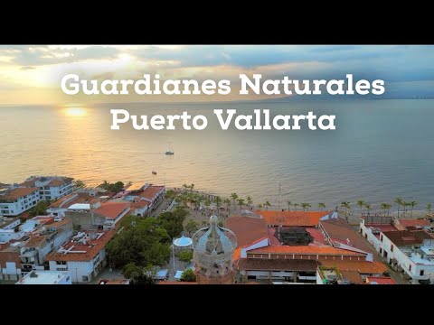 ¿Cómo Puerto Vallarta se defiende de los huracanes? - Estero el Salado y Río Palo María