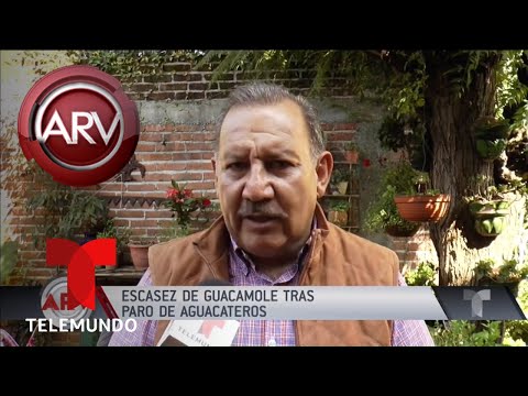 Escasez de guacamole tras paro aguacatero | Al Rojo Vivo | Telemundo