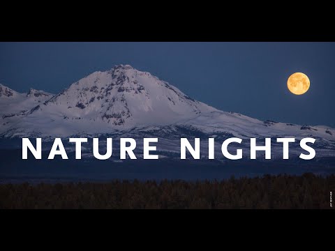 Nature Nights: The Importance of Insects