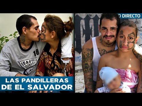 De Víctimas A Verdugos: La Realidad De Las Mujeres Pandilleras De El Salvador - Testigo Directo